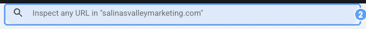 The URL inspection bar: Inspect any URL in salinasvalleymarketing.com.
