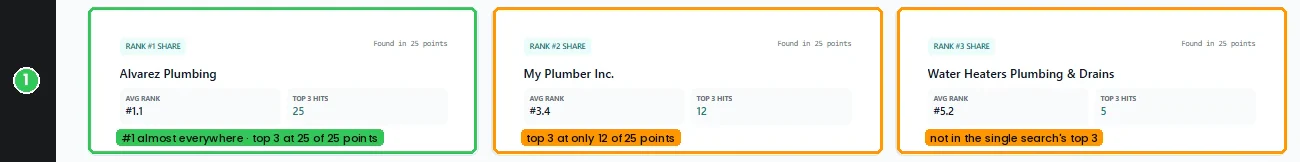 The three businesses that did best across all 25 points: Alvarez Plumbing, My Plumber Inc. and Water Heaters Plumbing & Drains.