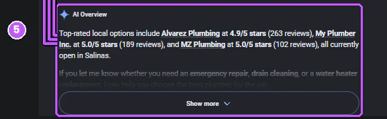 The AI Overview, which named Alvarez Plumbing, My Plumber Inc. and MZ Plumbing.