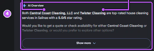 The AI Overview, which named two of the map pack businesses as top-rated.