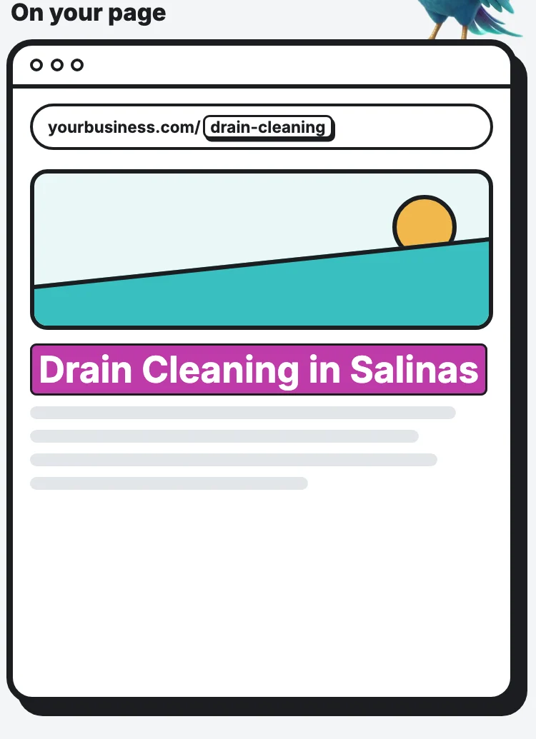 The live page: the URL slug drain-cleaning and the H1 “Drain Cleaning in Salinas” as the main heading.